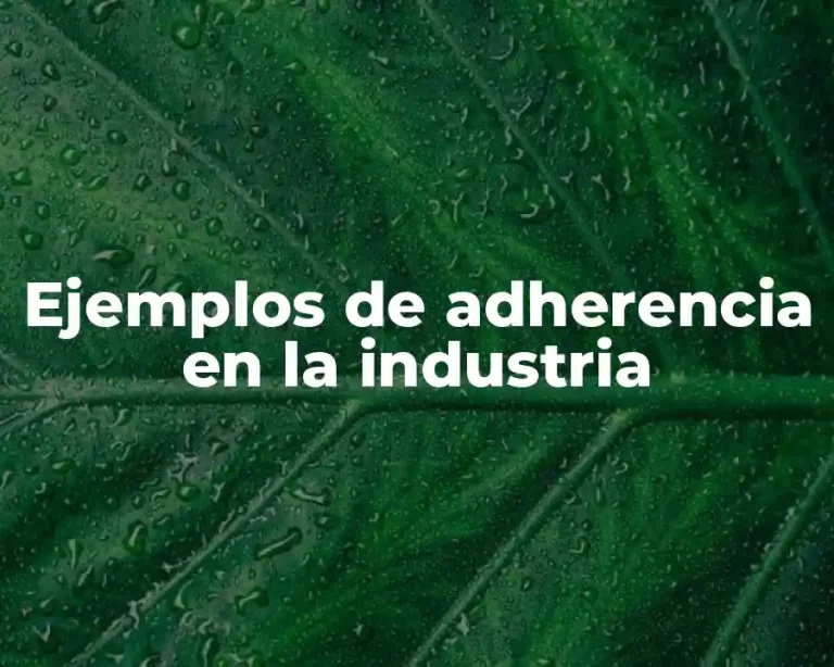 Ejemplos de adherencia en la industria