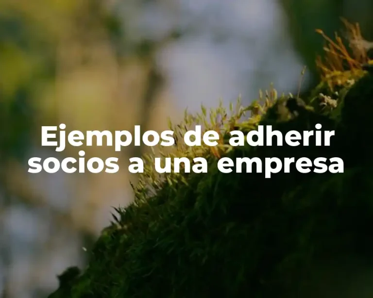 Ejemplos de adherir socios a una empresa