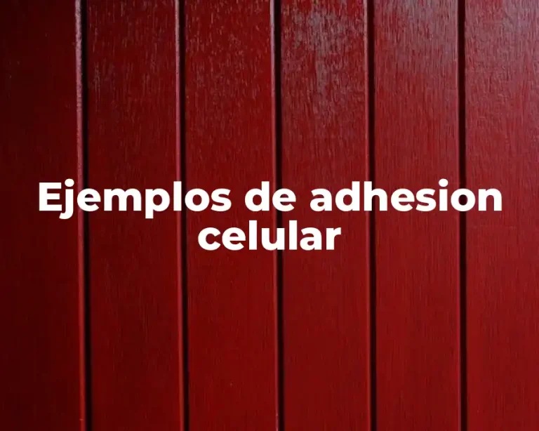Ejemplos de adhesion celular