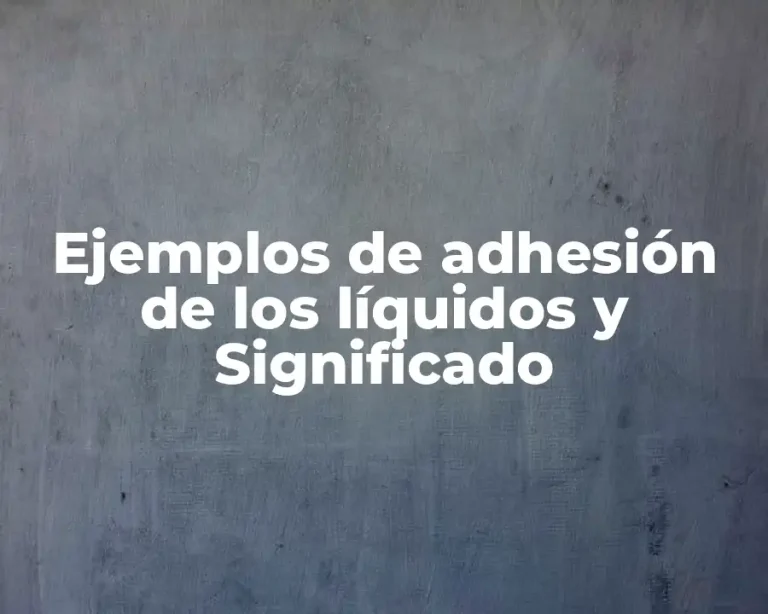 Ejemplos de adhesión de los líquidos y Significado