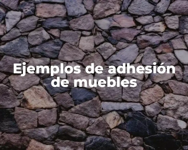 Ejemplos de adhesión de muebles