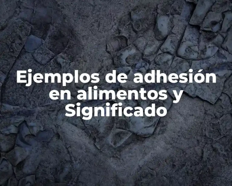 Ejemplos de adhesión en alimentos y Significado