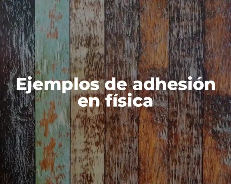 Ejemplos de adhesión en física