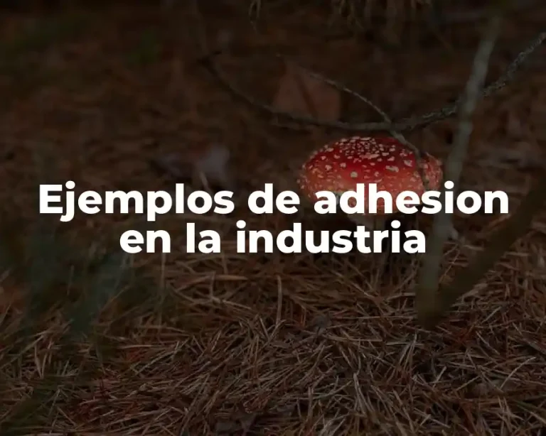 Ejemplos de adhesion en la industria
