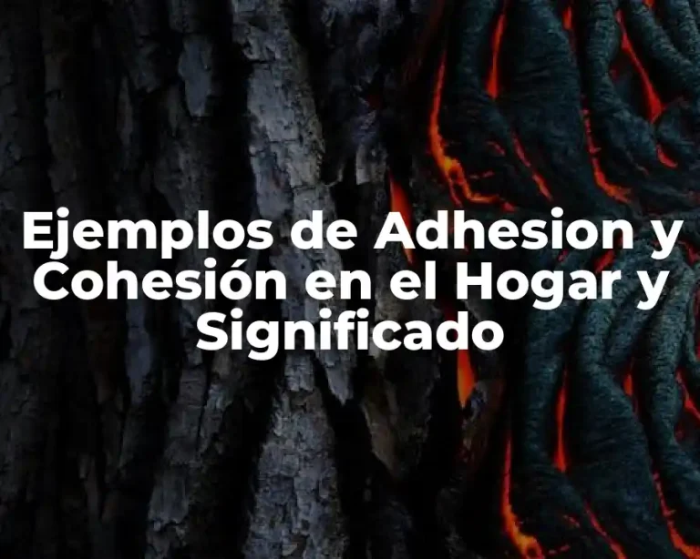 Ejemplos de Adhesion y Cohesión en el Hogar y Significado