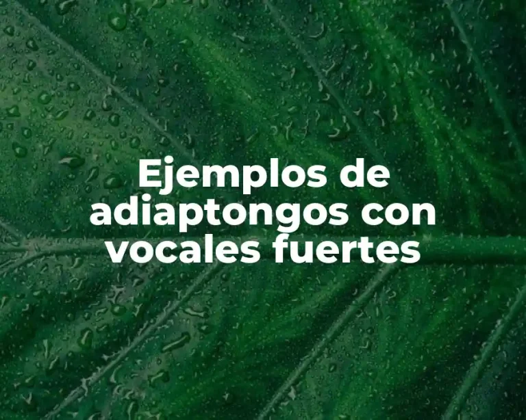 Ejemplos de adiaptongos con vocales fuertes