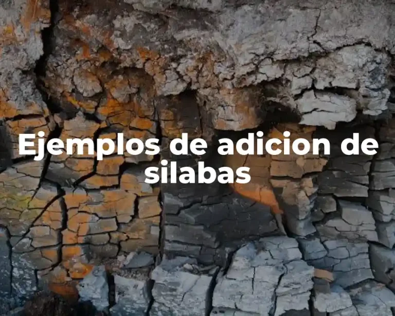 Ejemplos de adicion de silabas