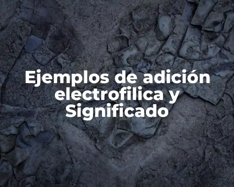 Ejemplos de adición electrofilica y Significado