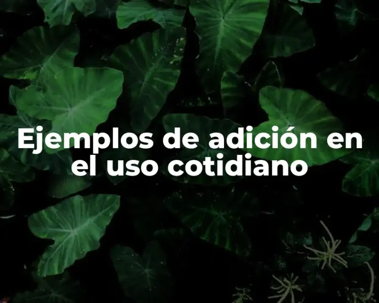 Ejemplos de adición en el uso cotidiano