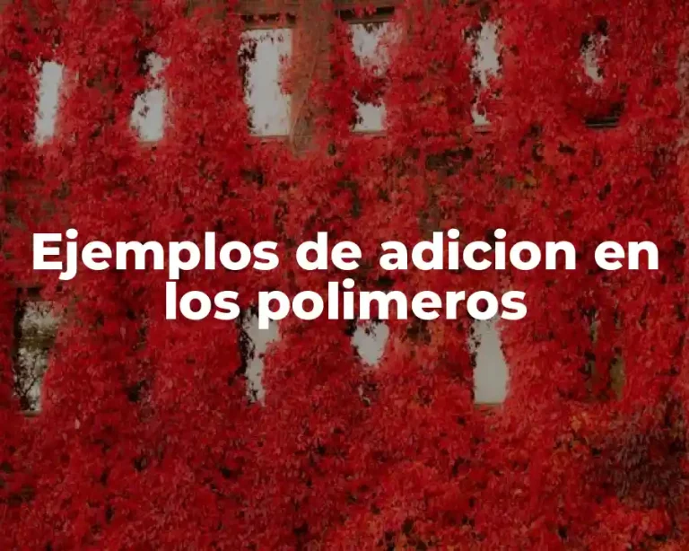 Ejemplos de adicion en los polimeros