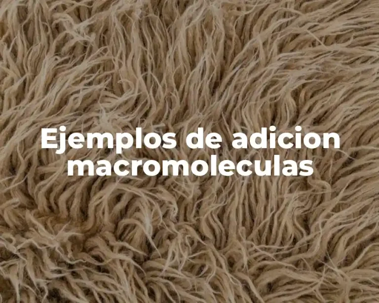 Ejemplos de adicion macromoleculas