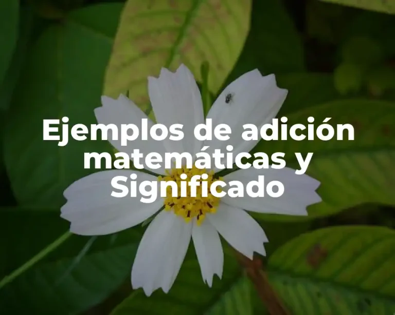 Ejemplos de adición matemáticas y Significado