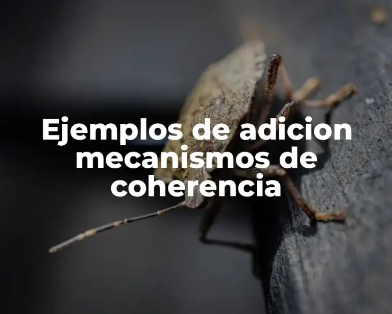Ejemplos de adicion mecanismos de coherencia
