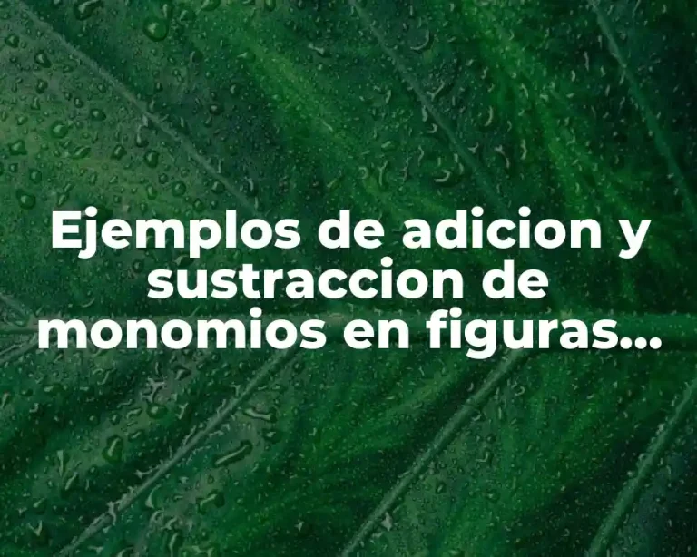Ejemplos de adicion y sustraccion de monomios en figuras geometricas