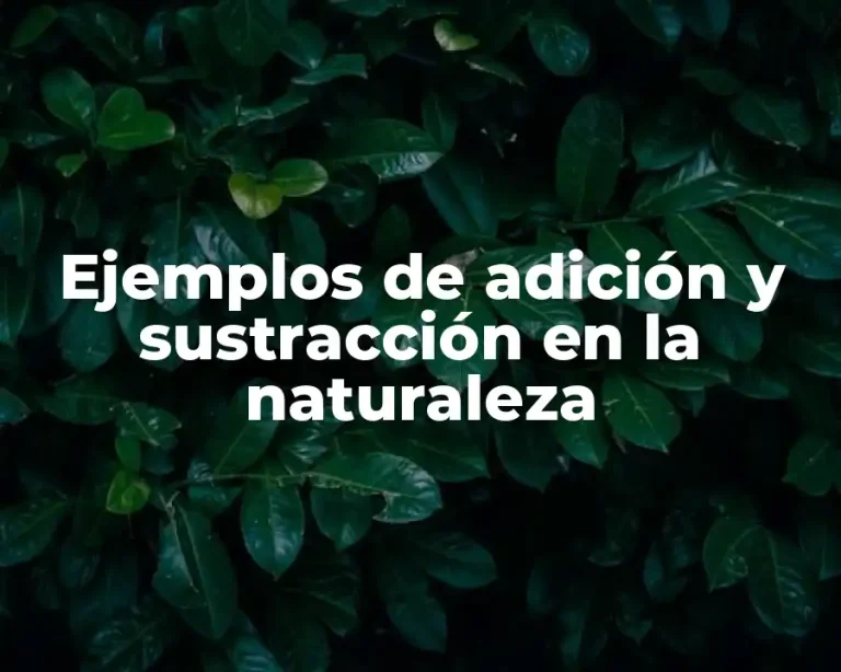 Ejemplos de adición y sustracción en la naturaleza