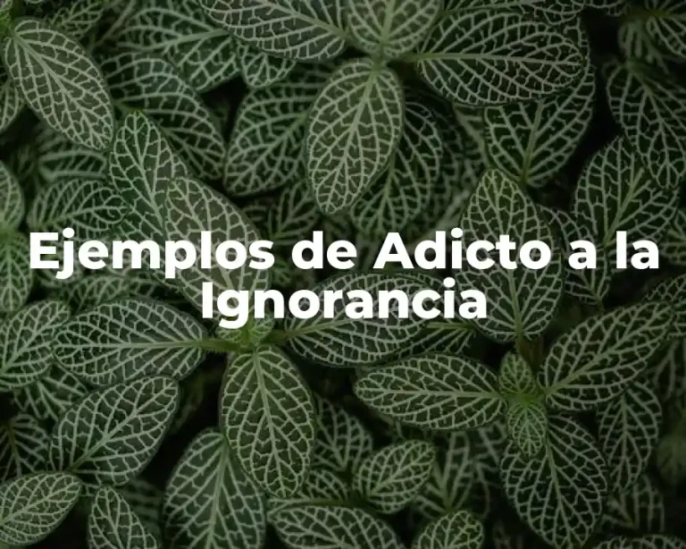 Ejemplos de Adicto a la Ignorancia