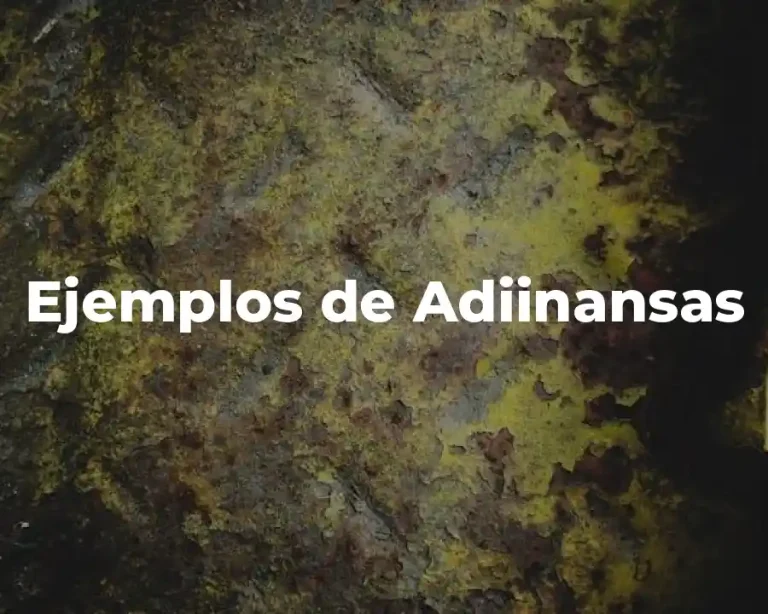 Ejemplos de Adiinansas