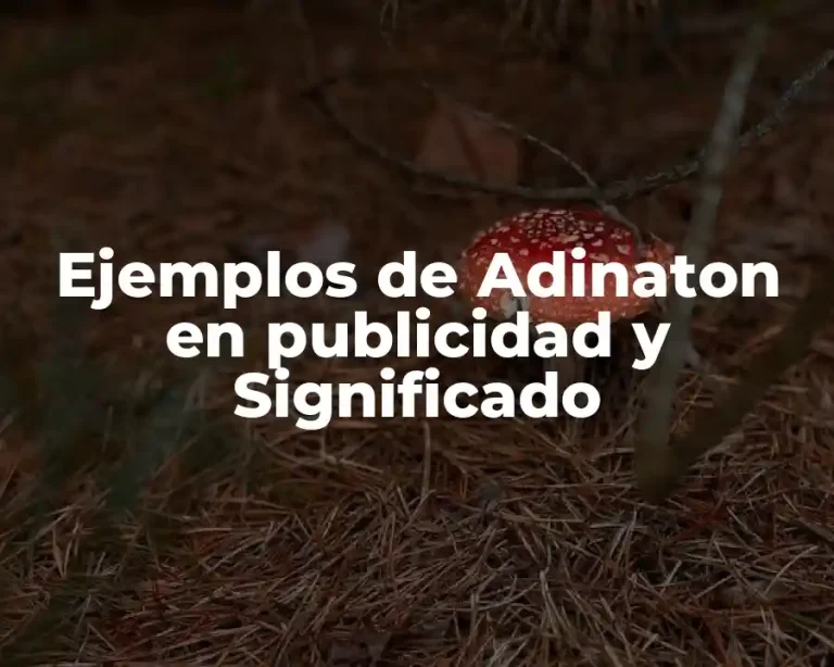 Ejemplos de Adinaton en publicidad y Significado