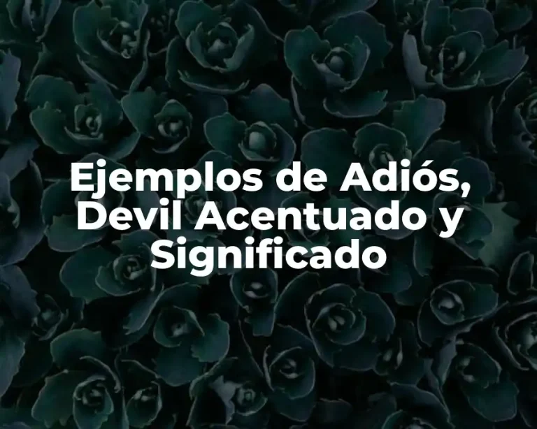 Ejemplos de Adiós, Devil Acentuado y Significado