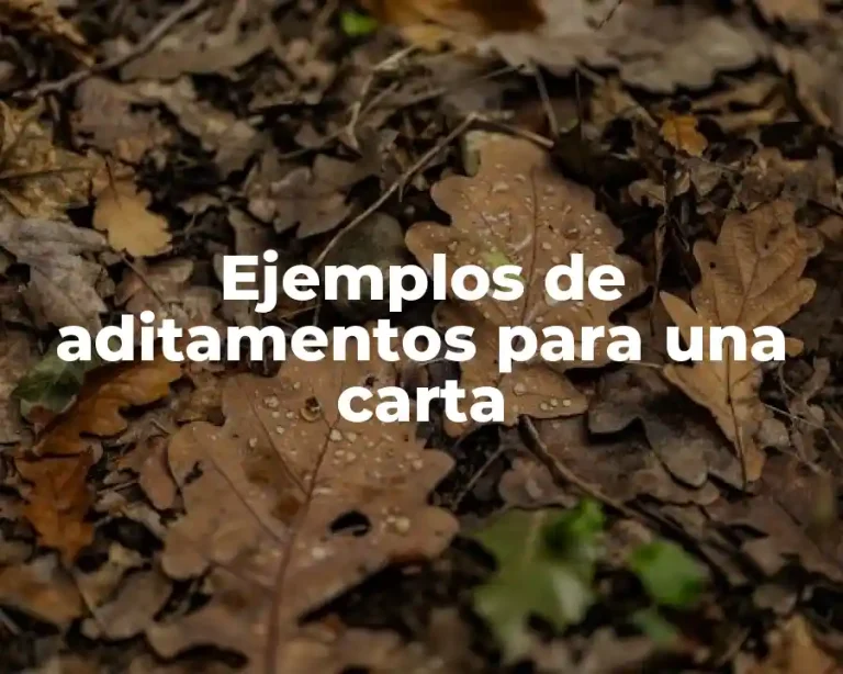 Ejemplos de aditamentos para una carta