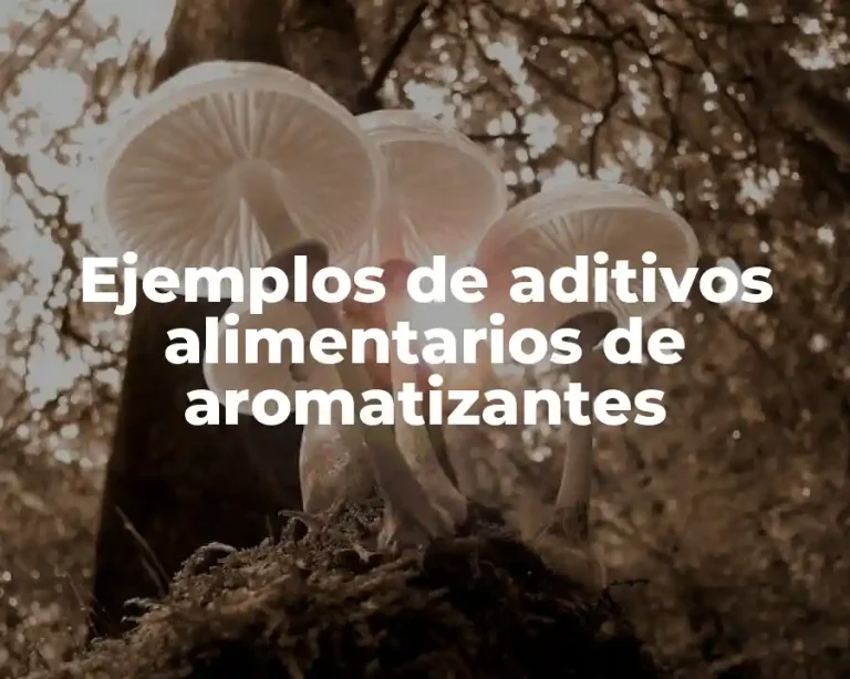 Ejemplos de aditivos alimentarios de aromatizantes
