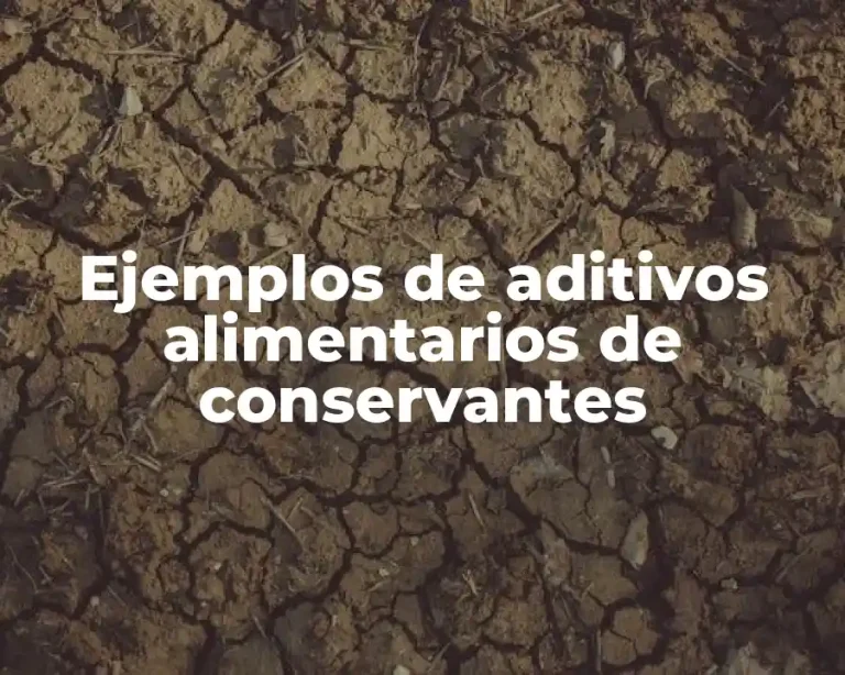 Ejemplos de aditivos alimentarios de conservantes