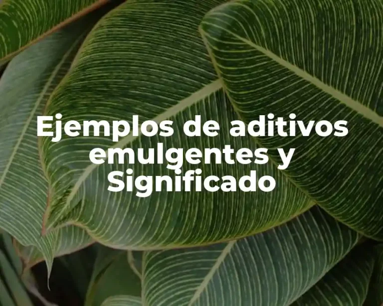 Ejemplos de aditivos emulgentes y Significado