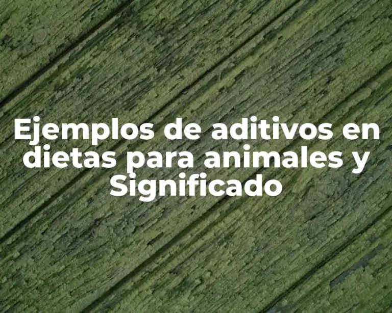 Ejemplos de aditivos en dietas para animales y Significado