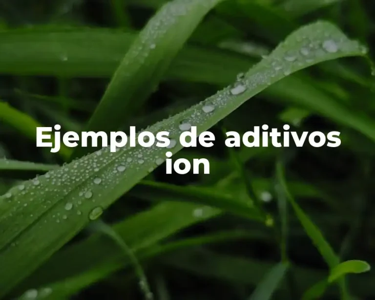 Ejemplos de aditivos ion