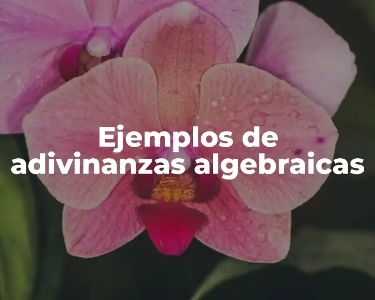 Ejemplos de adivinanzas algebraicas