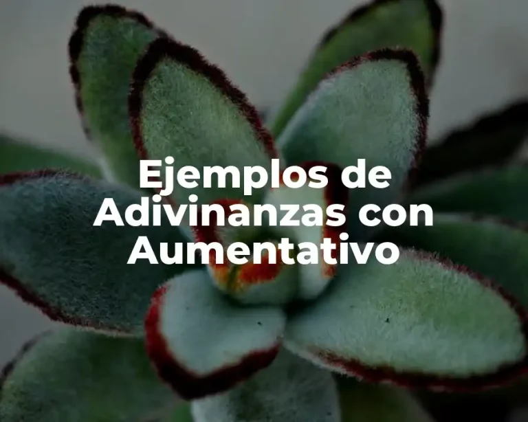 Ejemplos de Adivinanzas con Aumentativo