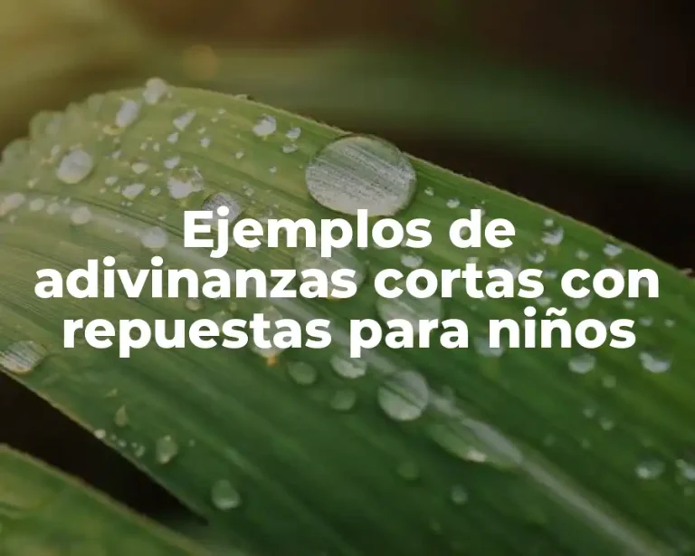 Ejemplos de adivinanzas cortas con repuestas para niños