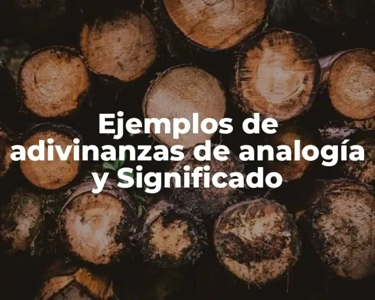Ejemplos de adivinanzas de analogía y Significado