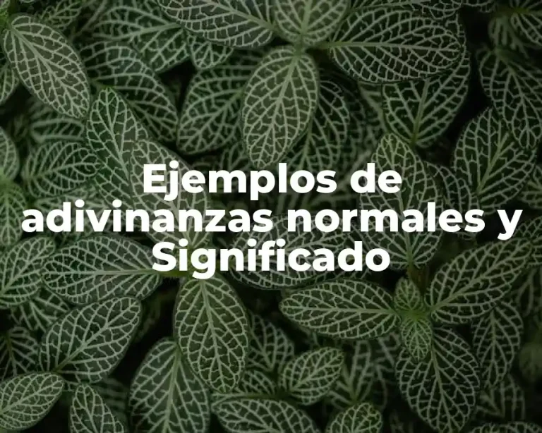 Ejemplos de adivinanzas normales y Significado