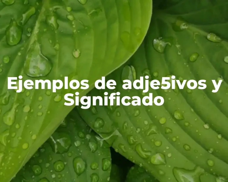 Ejemplos de adje5ivos y Significado