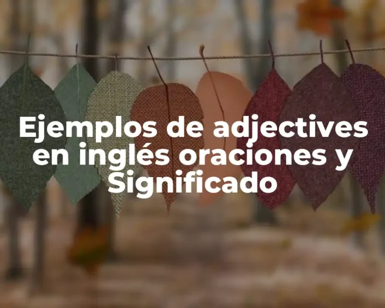 Ejemplos de adjectives en inglés oraciones y Significado