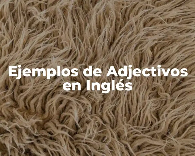 Ejemplos de Adjectivos en Inglés