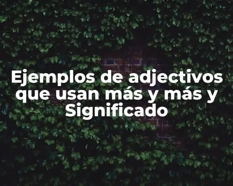 Ejemplos de adjectivos que usan más y más y Significado