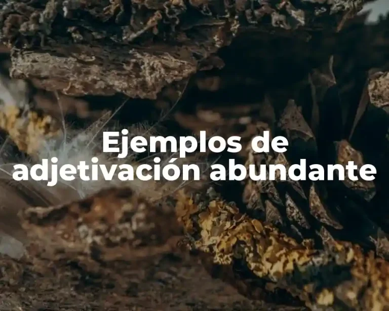 Ejemplos de adjetivación abundante