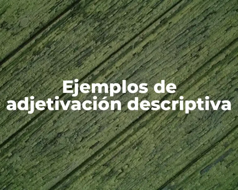 Ejemplos de adjetivación descriptiva