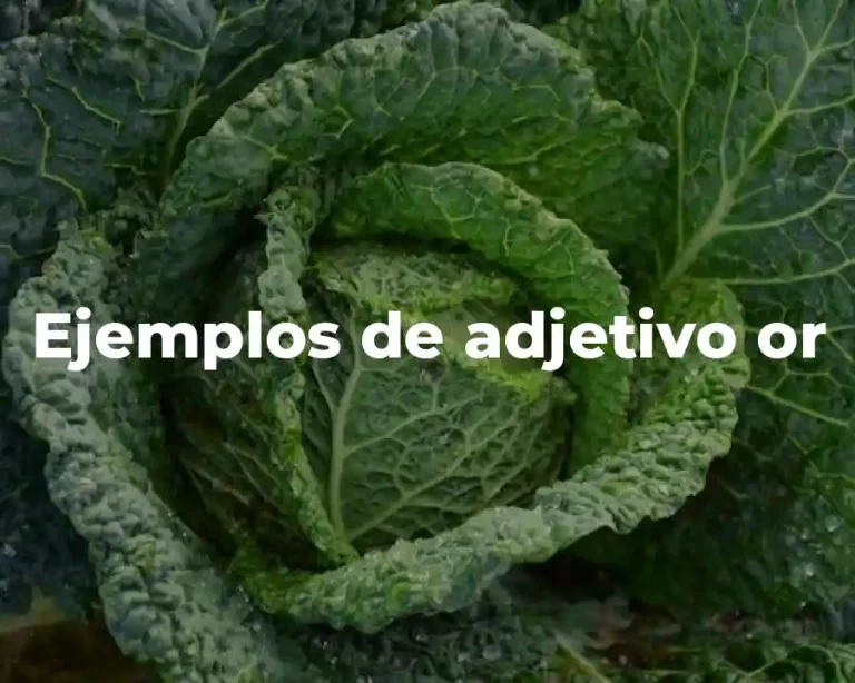 Ejemplos de adjetivo or
