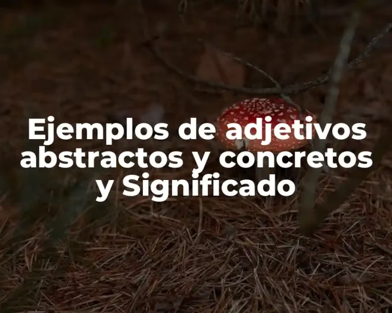 Ejemplos de adjetivos abstractos y concretos y Significado