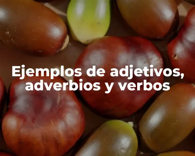 Ejemplos de adjetivos, adverbios y verbos