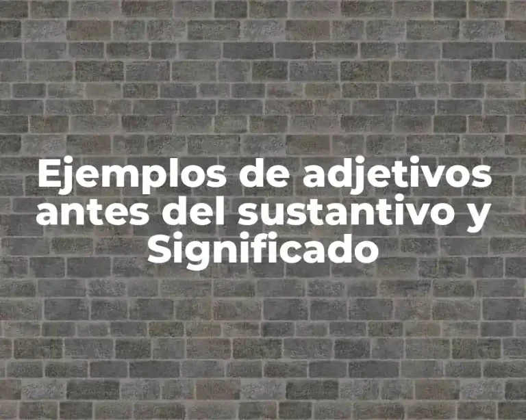 Ejemplos de adjetivos antes del sustantivo y Significado