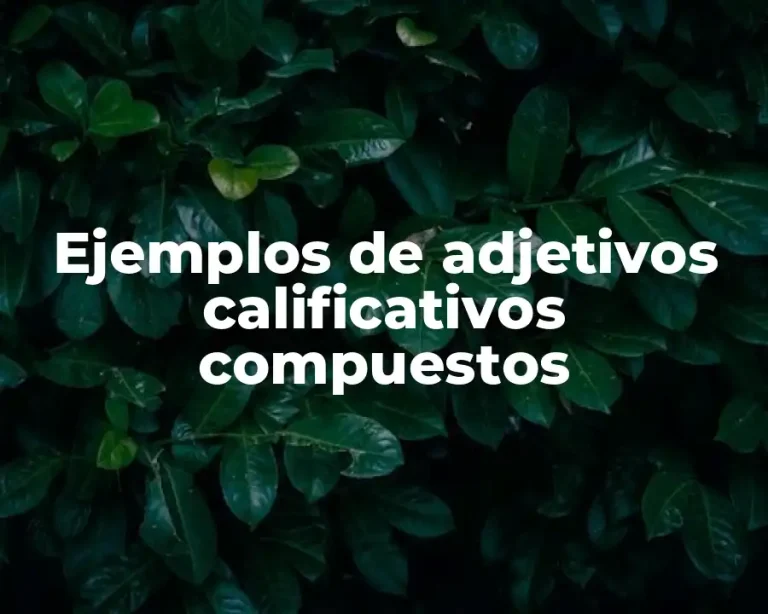 Ejemplos de adjetivos calificativos compuestos