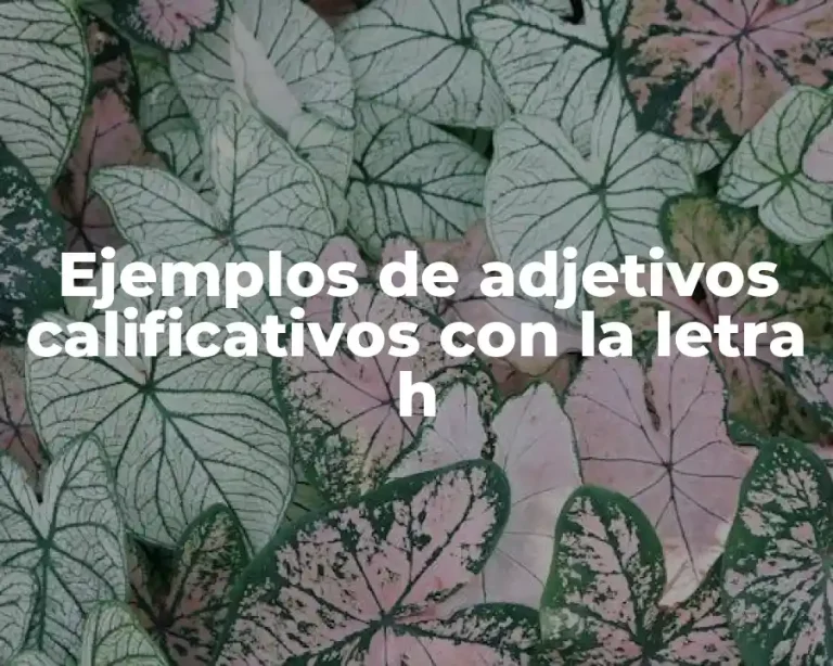 Ejemplos de adjetivos calificativos con la letra h