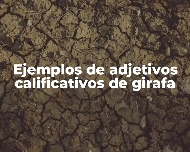 Ejemplos de adjetivos calificativos de girafa