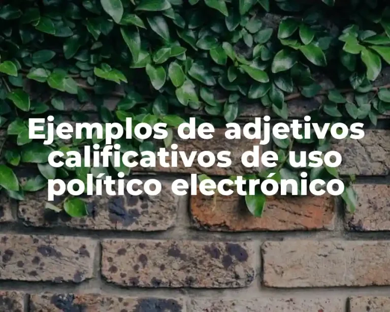 Ejemplos de adjetivos calificativos de uso político electrónico