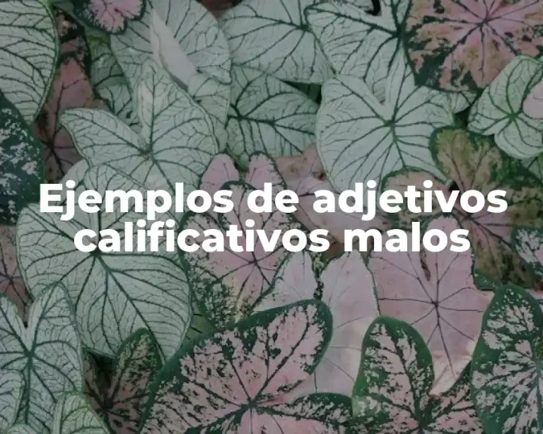 Ejemplos de adjetivos calificativos malos