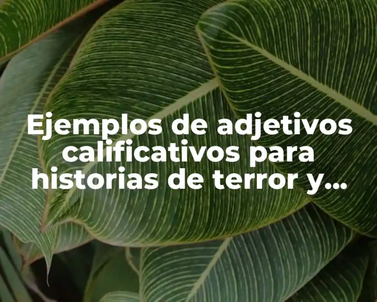 Ejemplos de adjetivos calificativos para historias de terror y Significado